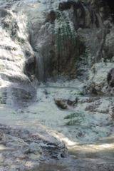 DSC_0431.JPG