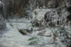 DSC_0433.JPG
