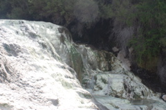 DSC_0435.JPG