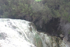 DSC_0436.JPG