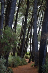 DSC_0439.JPG