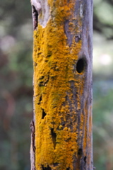 DSC_0441.JPG