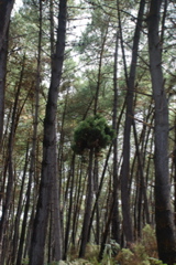 DSC_0447.JPG