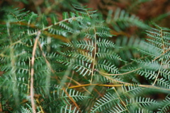 DSC_0448.JPG