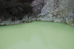 DSC_0453.JPG
