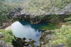 DSC_0457.JPG