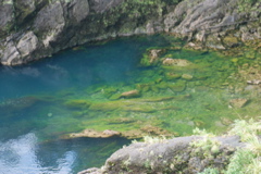 DSC_0459.JPG