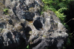 DSC_0460.JPG