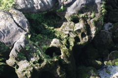 DSC_0461.JPG