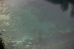 DSC_0462.JPG