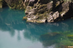 DSC_0463.JPG