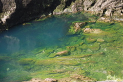DSC_0464.JPG