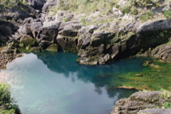 DSC_0465.JPG