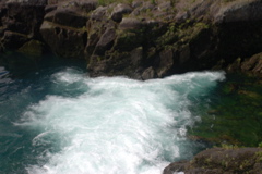 DSC_0468.JPG
