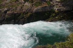 DSC_0469.JPG