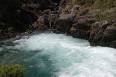 DSC_0470.JPG