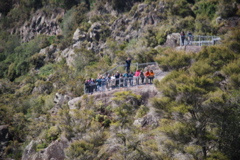 DSC_0471.JPG