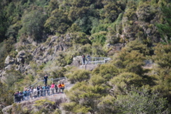 DSC_0472.JPG