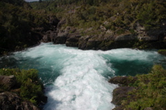 DSC_0473.JPG