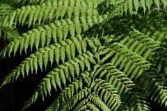 DSC_0055.JPG
