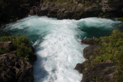 DSC_0474.JPG