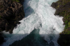 DSC_0475.JPG