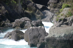 DSC_0477.JPG