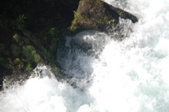 DSC_0478.JPG