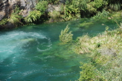 DSC_0480.JPG