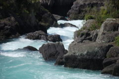 DSC_0481.JPG