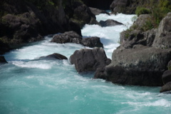 DSC_0482.JPG