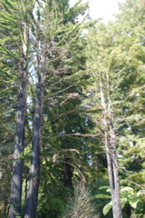 DSC_0056.JPG