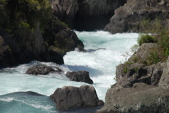 DSC_0484.JPG