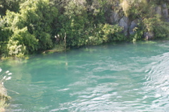 DSC_0485.JPG