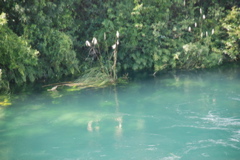 DSC_0486.JPG