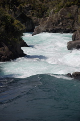 DSC_0487.JPG