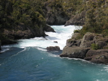 IMG_4061.JPG