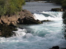 IMG_4068.JPG
