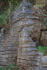 DSC_0057.JPG