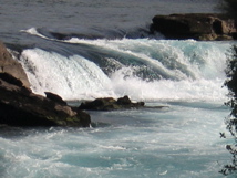 IMG_4069.JPG
