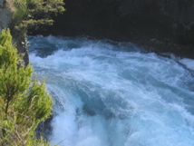 IMG_4071.JPG