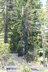 DSC_0058.JPG