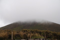 DSC_0488.JPG