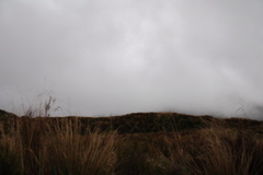 DSC_0489.JPG