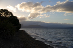 DSC_0492.JPG