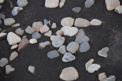 DSC_0496.JPG