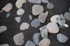 DSC_0497.JPG