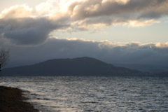 DSC_0498.JPG