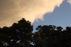 DSC_0502.JPG