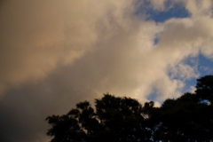 DSC_0506.JPG